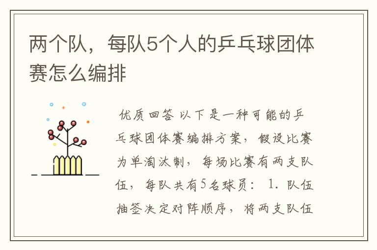 两个队,每队5个人的乒乓球团体赛怎么编排