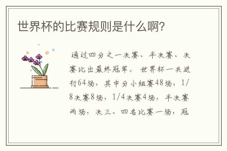 世界杯的比赛规则是什么啊?