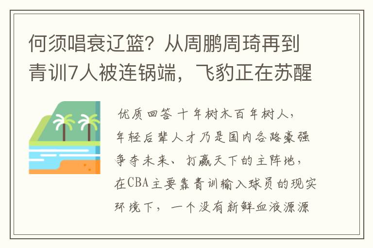 何须唱衰辽篮?从周鹏周琦再到青训7人被连锅端,飞豹正在苏醒