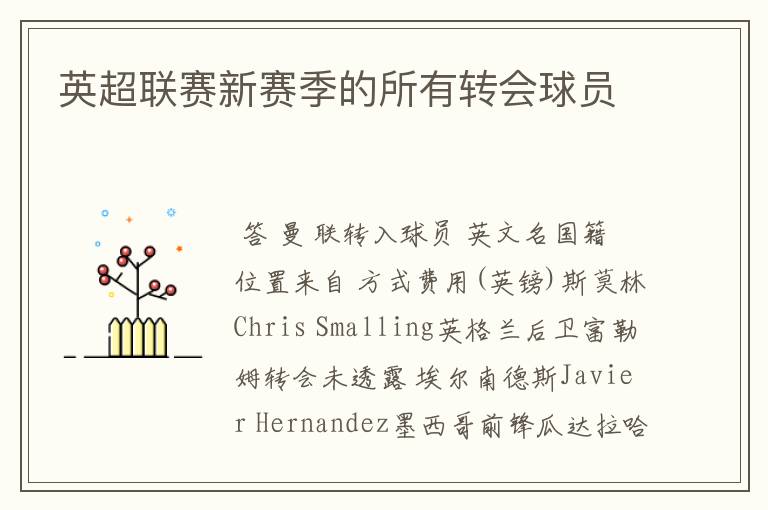 英超联赛新赛季的所有转会球员