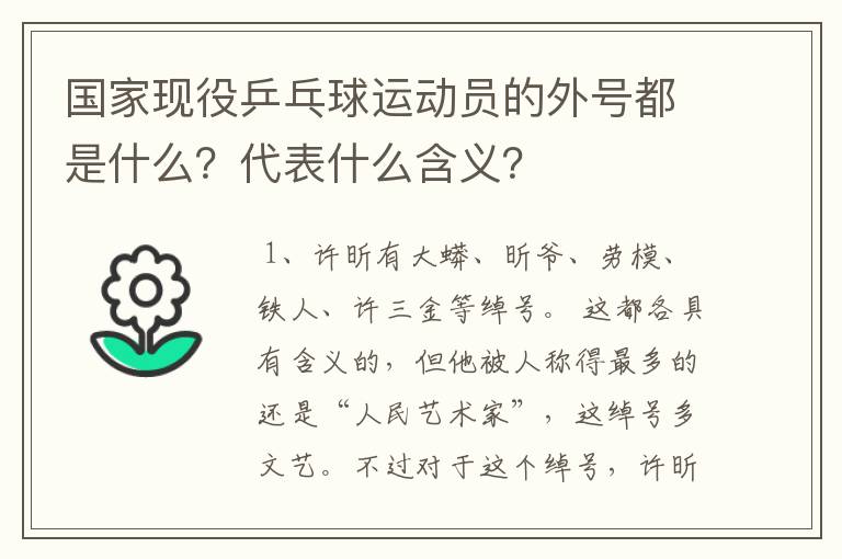 国家现役乒乓球运动员的外号都是什么?代表什么含义?