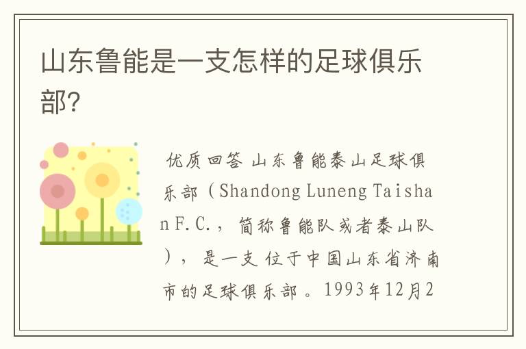 山东鲁能是一支怎样的足球俱乐部?