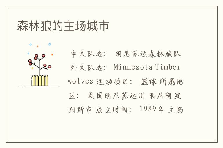 森林狼的主场城市