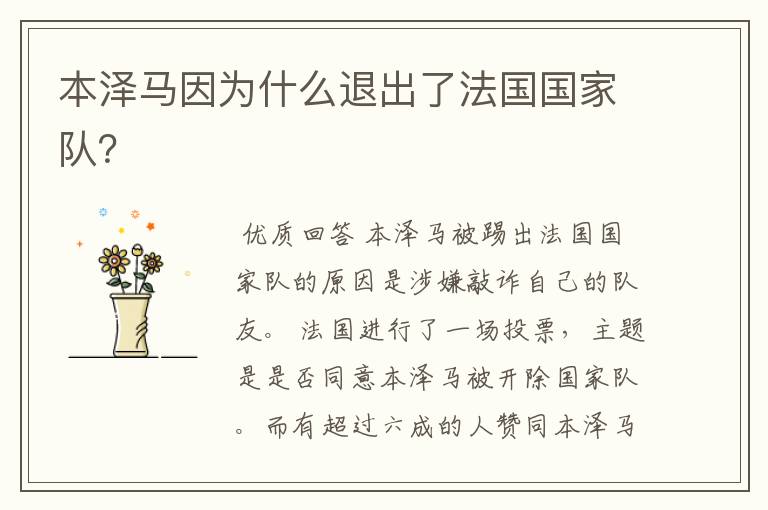 本泽马因为什么退出了法国国家队?