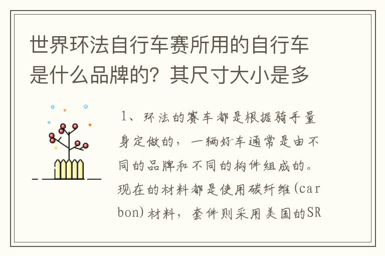 世界环法自行车赛所用的自行车是什么品牌的?其尺寸大小是多少?