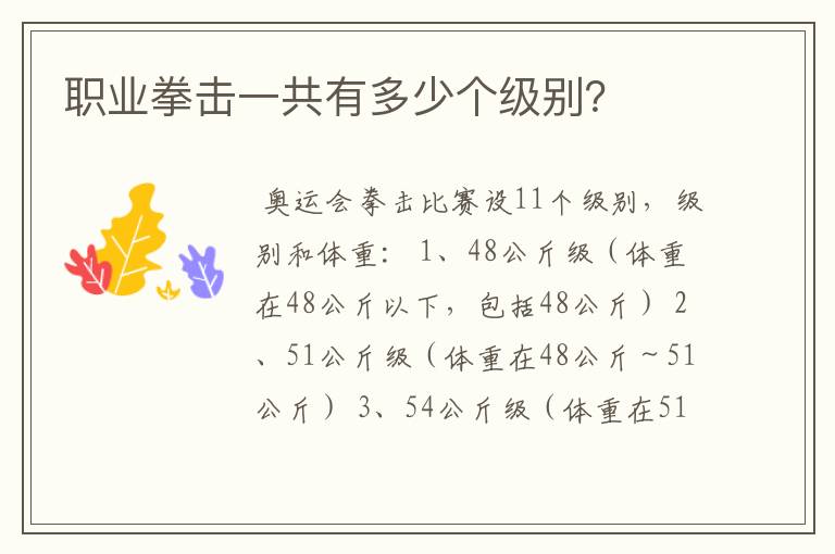 职业拳击一共有多少个级别?