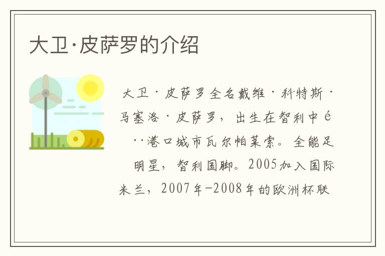 大卫·皮萨罗的介绍