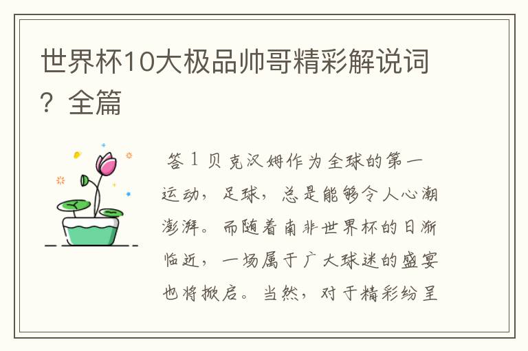 世界杯10大极品帅哥精彩解说词?全篇