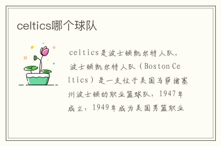 celtics哪个球队