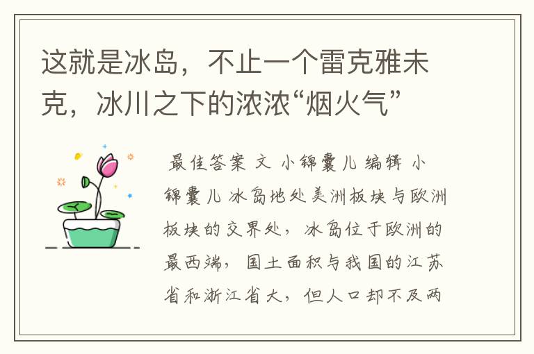 这就是冰岛,不止一个雷克雅未克,冰川之下的浓浓“烟火气”