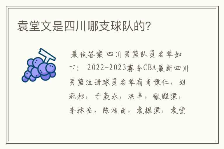 袁堂文是四川哪支球队的?