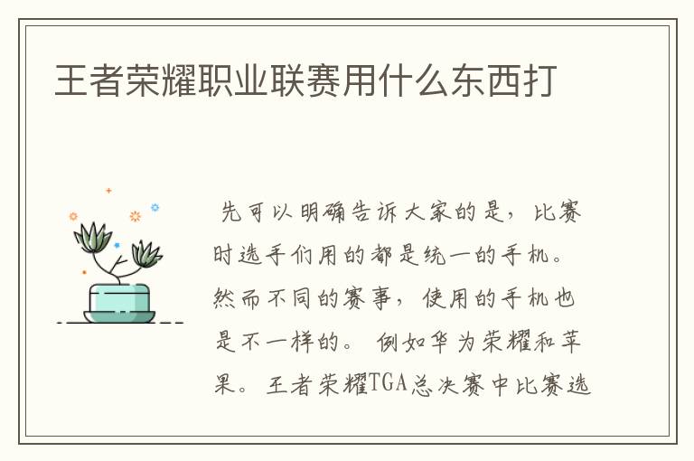 王者荣耀职业联赛用什么东西打