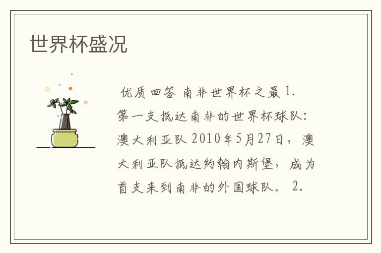 世界杯盛况