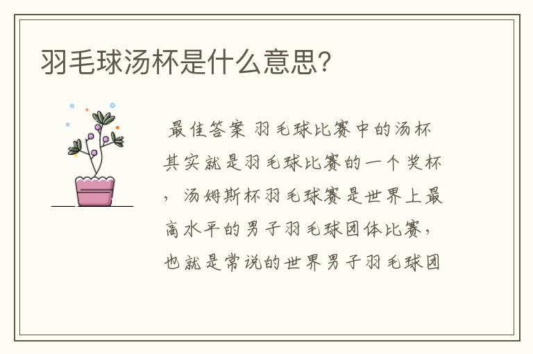 羽毛球汤杯是什么意思?