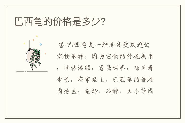 巴西龟的价格是多少?