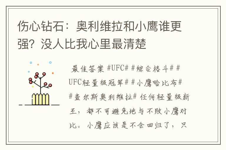 伤心钻石:奥利维拉和小鹰谁更强?没人比我心里最清楚