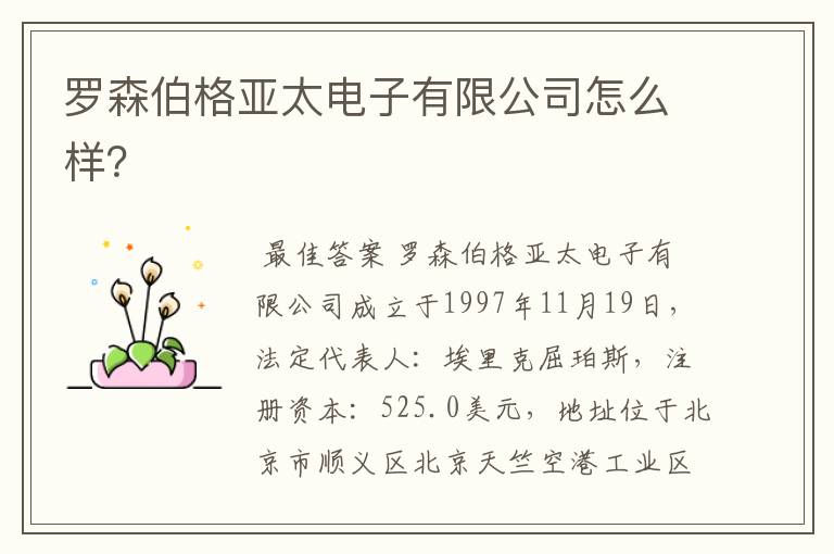 罗森伯格亚太电子有限公司怎么样?