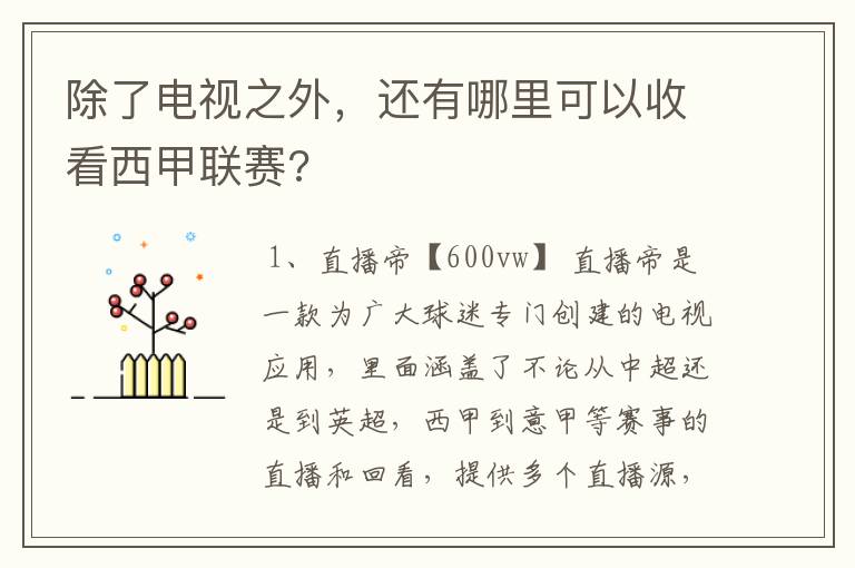 除了电视之外,还有哪里可以收看西甲联赛?