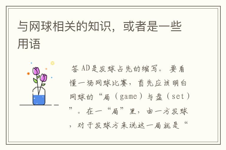 与网球相关的知识,或者是一些用语
