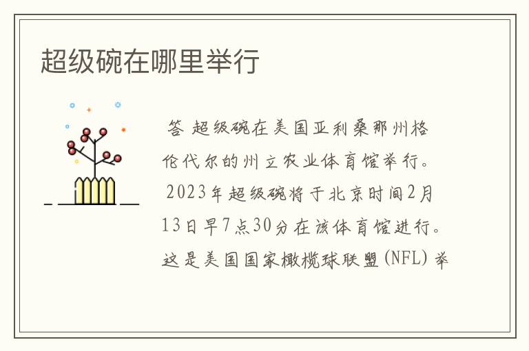 超级碗在哪里举行