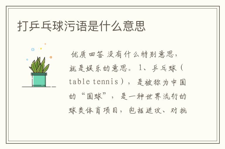 打乒乓球污语是什么意思