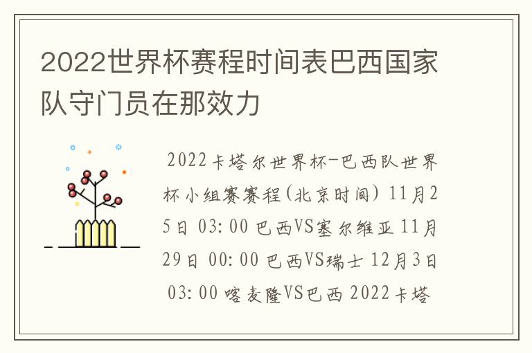 2022世界杯赛程时间表巴西国家队守门员在那效力