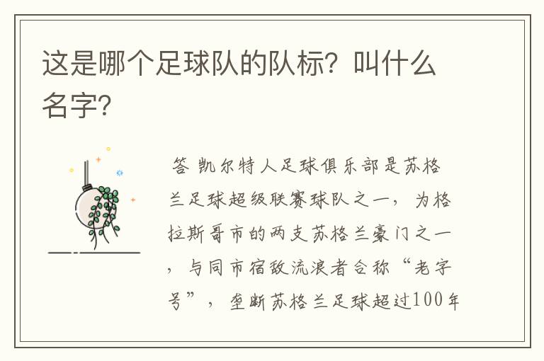 这是哪个足球队的队标?叫什么名字?