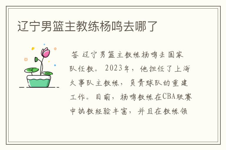 辽宁男篮主教练杨鸣去哪了