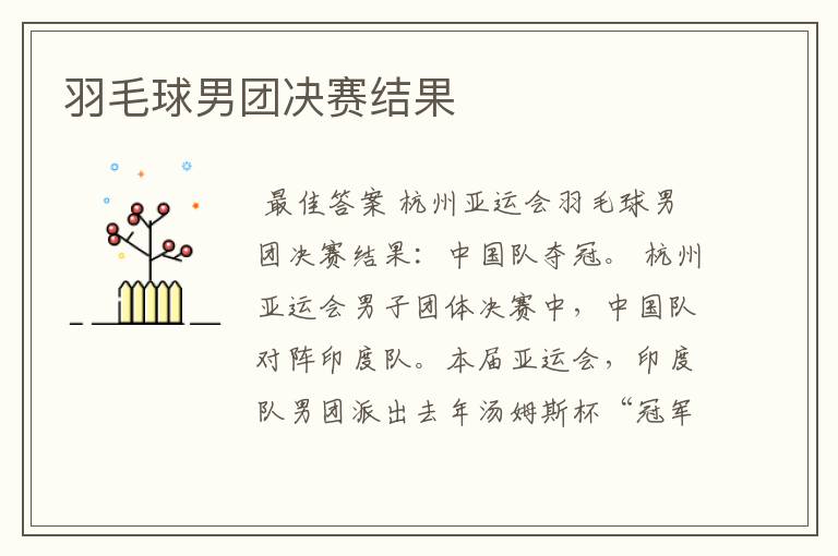 羽毛球男团决赛结果
