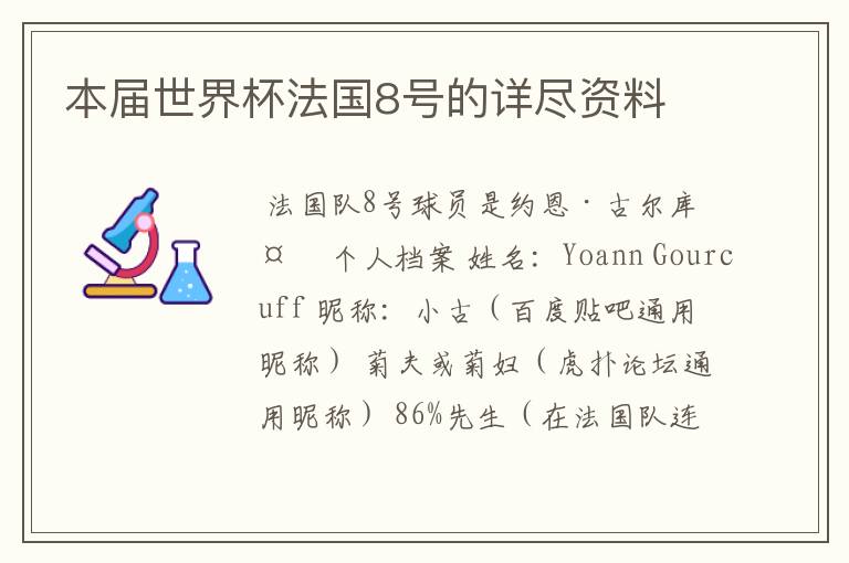 本届世界杯法国8号的详尽资料