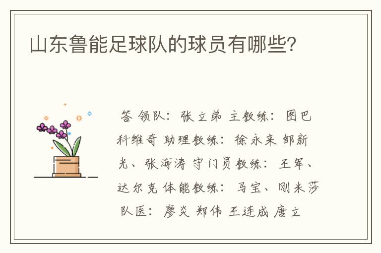 山东鲁能足球队的球员有哪些?