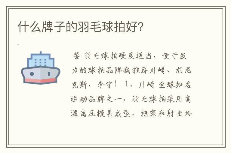 什么牌子的羽毛球拍好?
