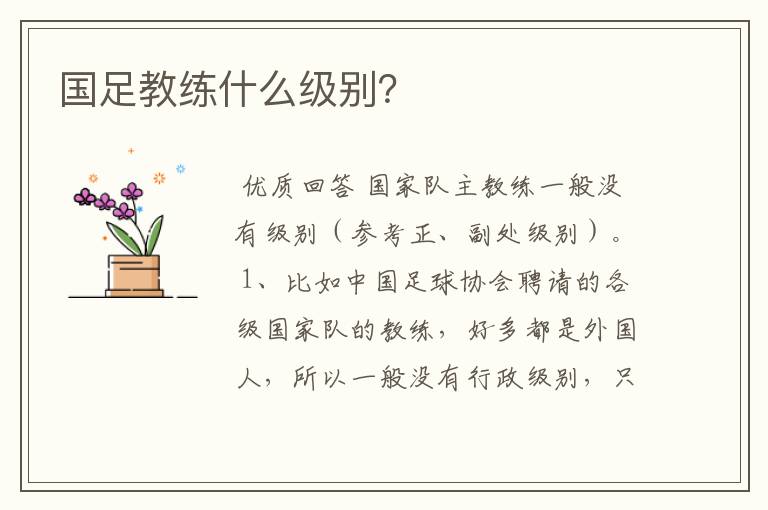 国足教练什么级别?