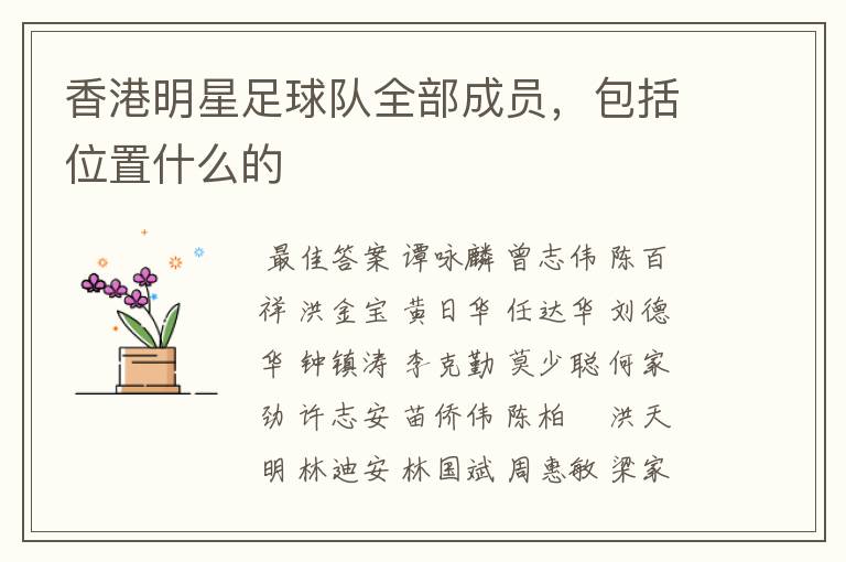 香港明星足球队全部成员,包括位置什么的