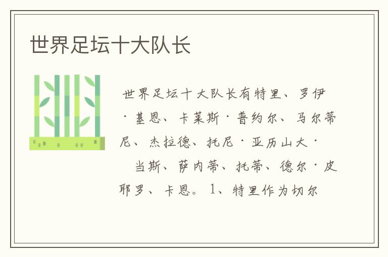 世界足坛十大队长