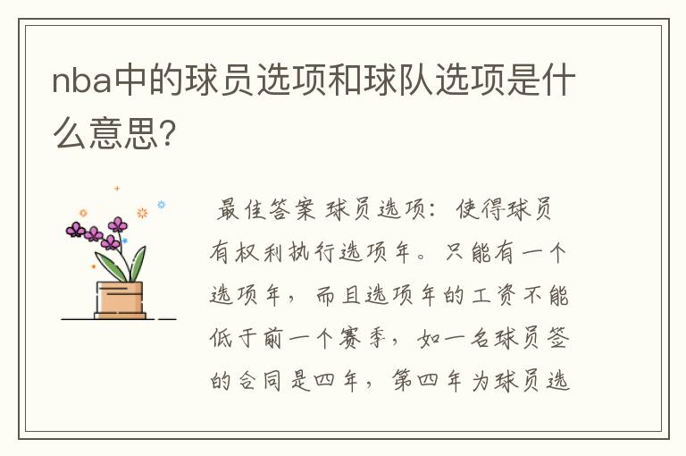 nba中的球员选项和球队选项是什么意思?