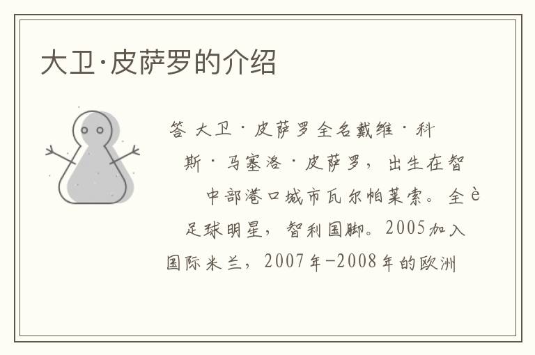 大卫·皮萨罗的介绍