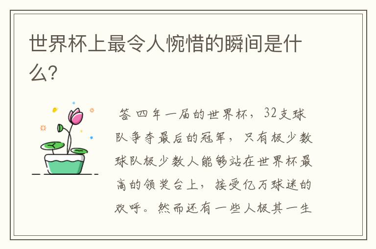 世界杯上最令人惋惜的瞬间是什么?