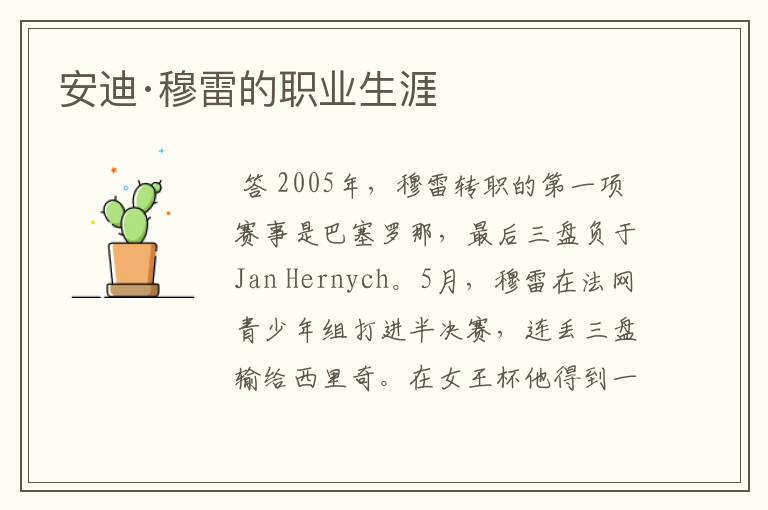 安迪·穆雷的职业生涯