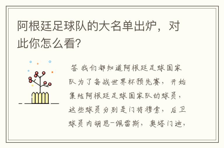 阿根廷足球队的大名单出炉,对此你怎么看?