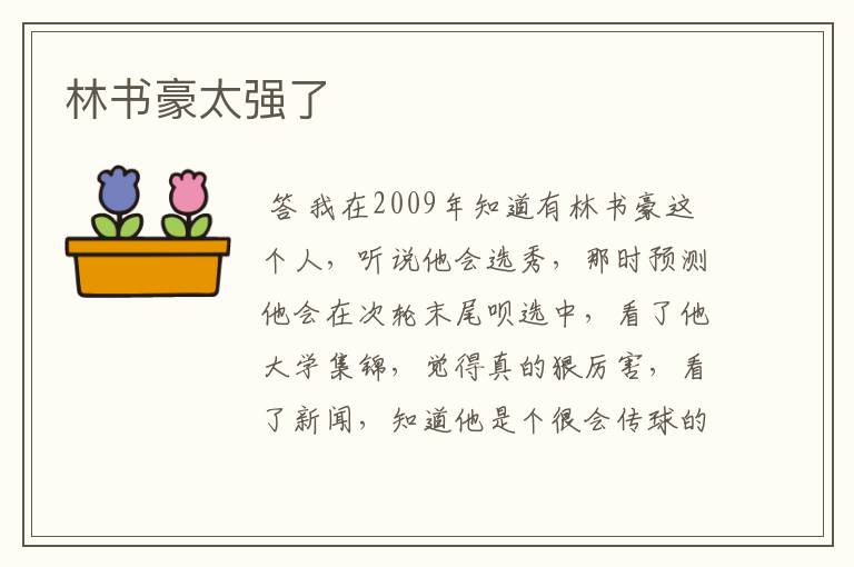 林书豪太强了