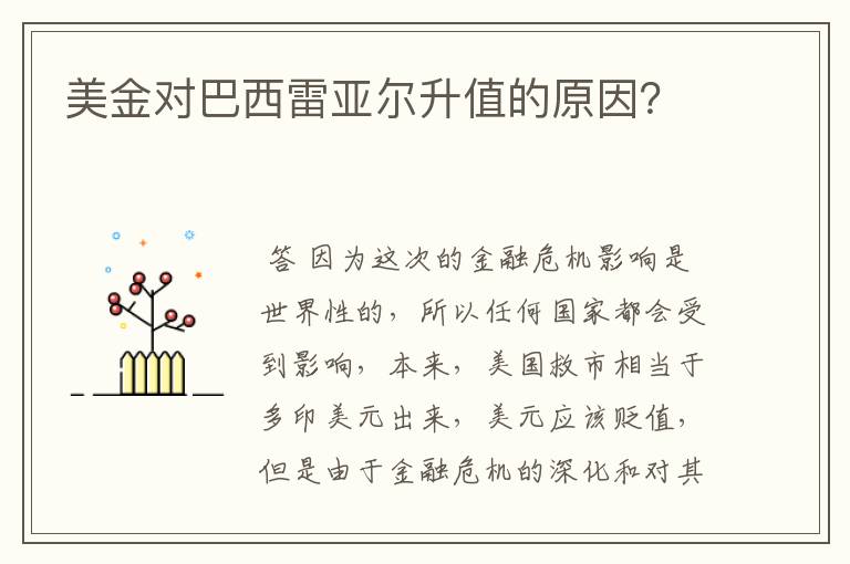美金对巴西雷亚尔升值的原因?