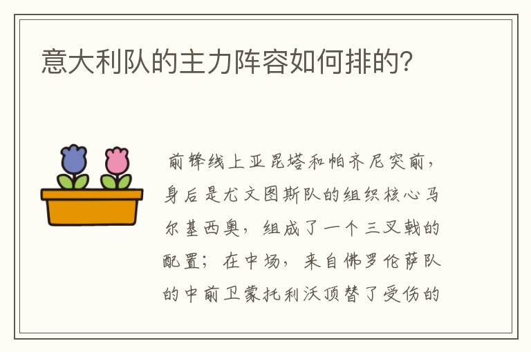 意大利队的主力阵容如何排的?