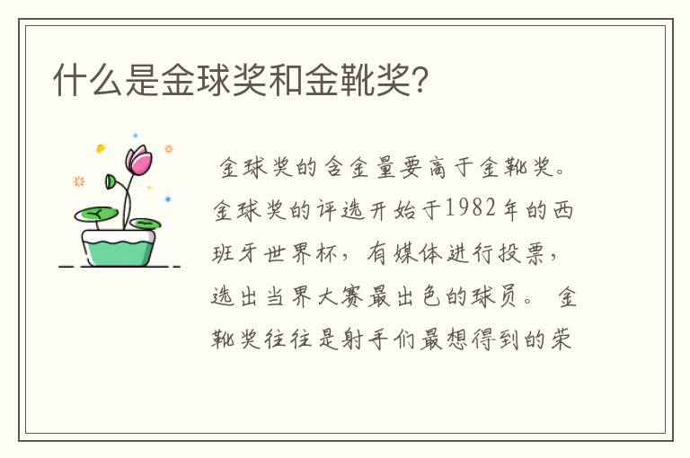什么是金球奖和金靴奖?