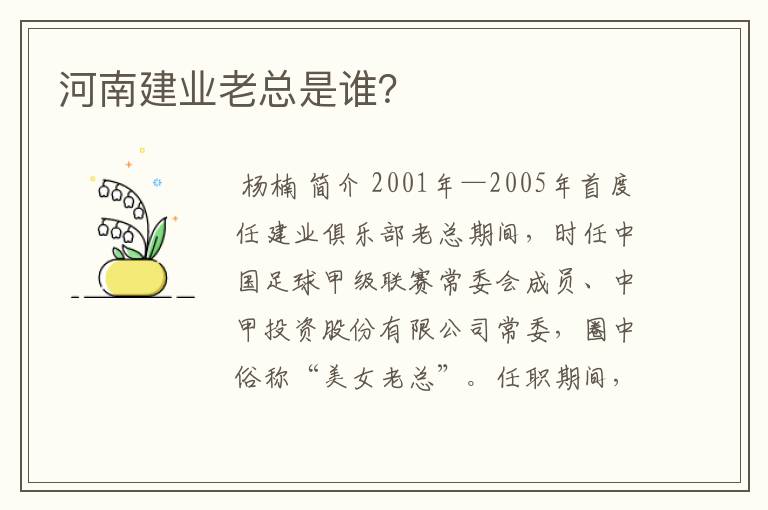 河南建业老总是谁？