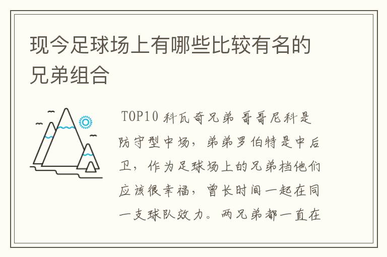 现今足球场上有哪些比较有名的兄弟组合