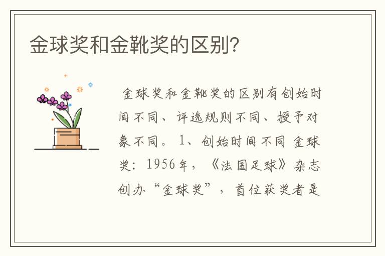 金球奖和金靴奖的区别?