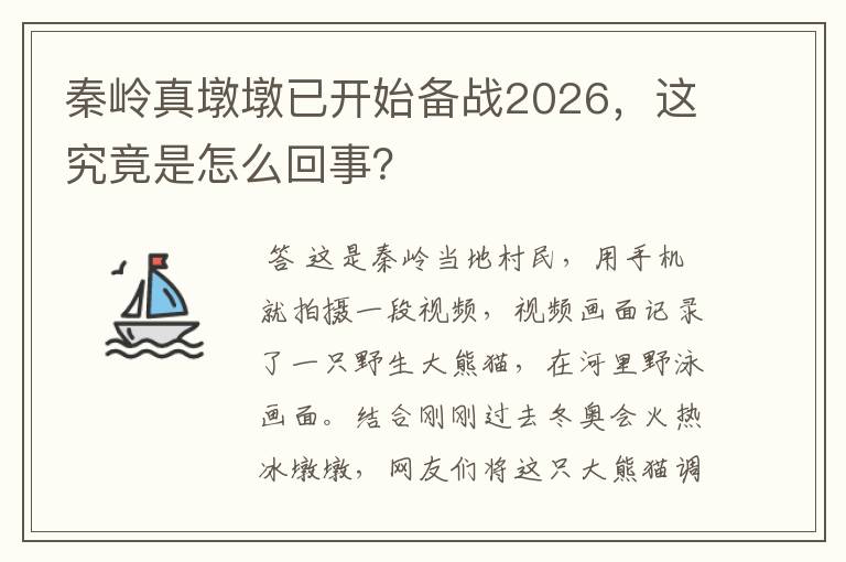 秦岭真墩墩已开始备战2026,这究竟是怎么回事?