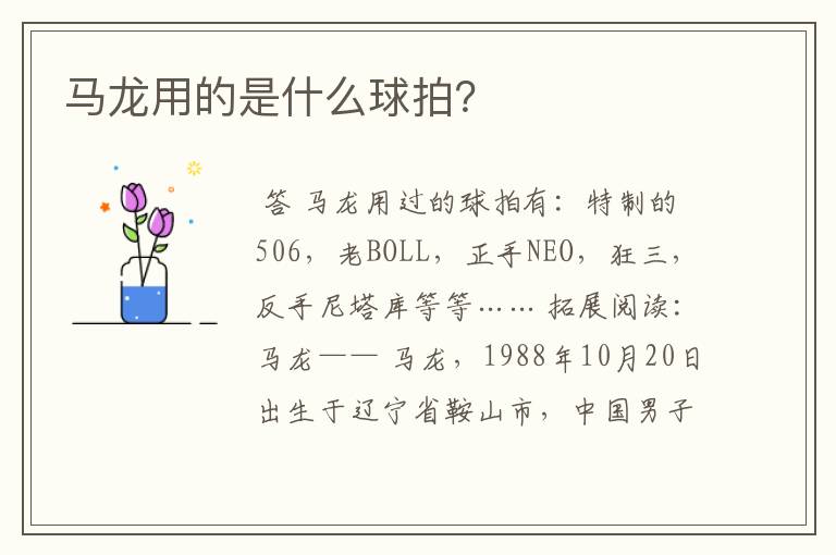 马龙用的是什么球拍?