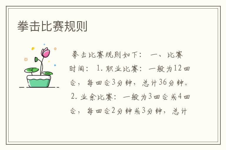 拳击比赛规则